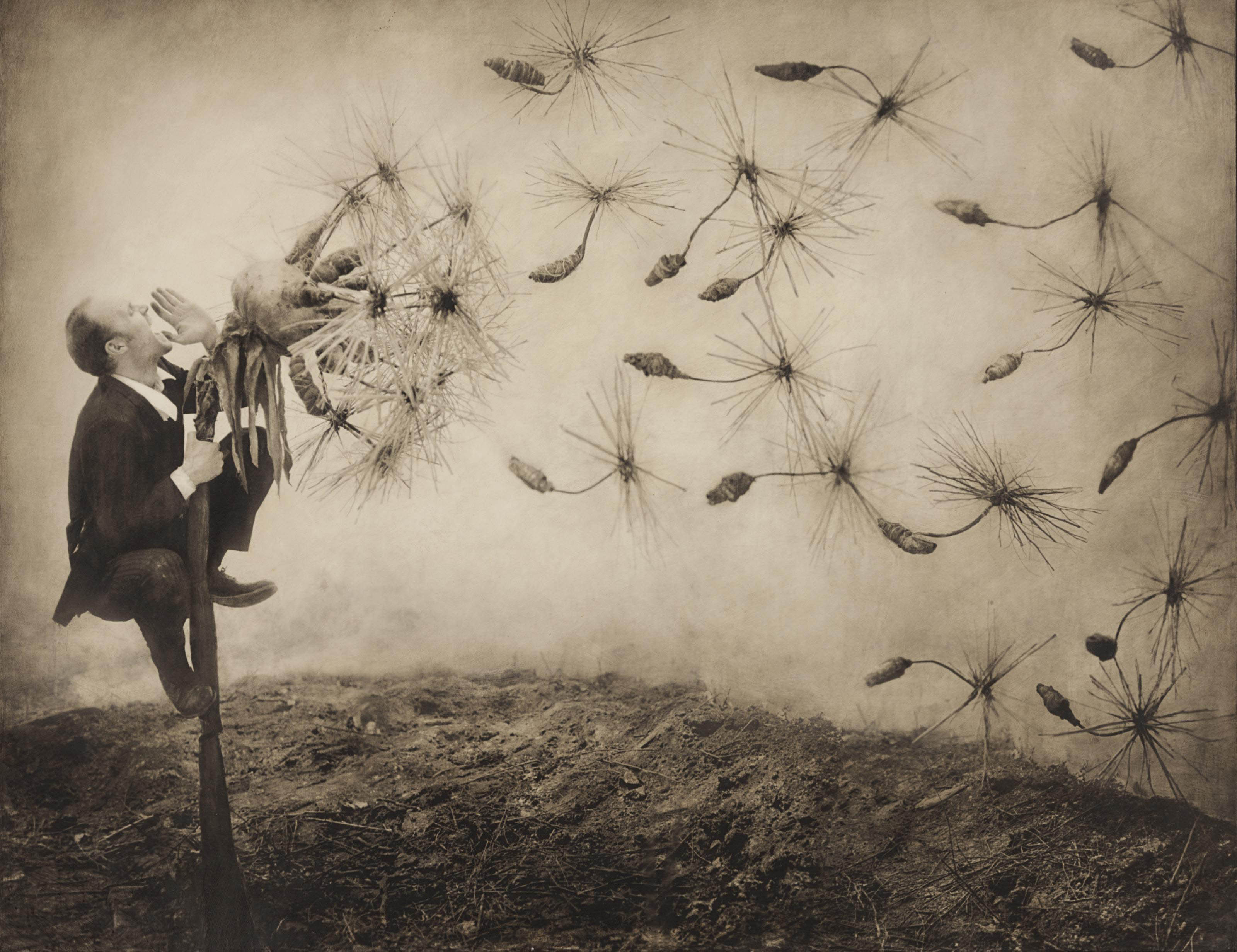 Robert and Shana PARKEHARRISON