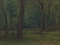 Wood Interior, Keene Valley  