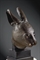 TRES RARE ET IMPORTANTE TETE DE LAPIN EN BRONZE PROVENANT DE LA FONTAINE ZODIACALE DU PALAIS D'ETE DE L'EMPEREUR QIANLONG (YUANMING YUAN) 