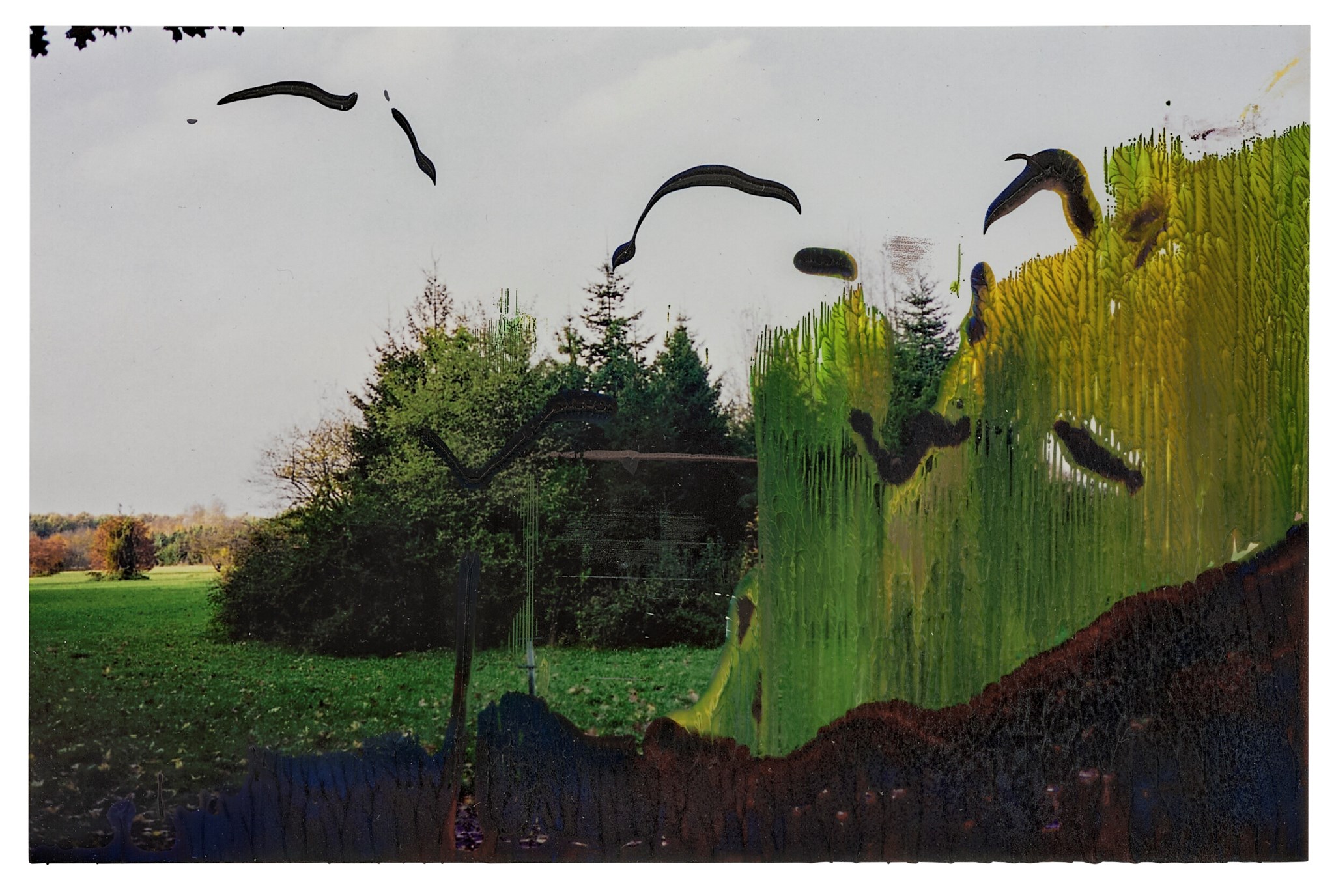 Breaking Ground: The Private Collection of Marian Goodman Part II